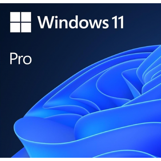 MS WINDOWS11 PRO BOX WIN11