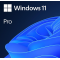 MS WINDOWS11 PRO BOX WIN11