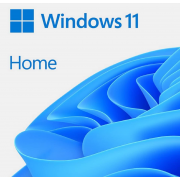 MS WINDOWS11 PRO BOX WIN11 MS WINDOWS11 PRO BOX WIN11